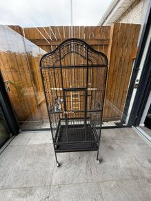 bird cage
