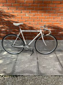 Fuji Feather Fixie bicycle