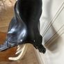 Saddle Image 4