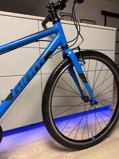 Giant ARX Junior Bike 26 inch