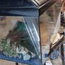 Aquarium Image 2