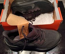 Nike Pegasus 41