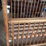 Cot Image 3