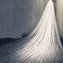 Cathedral Length Bridal Veil Image 2