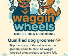 Mobile dog grooming