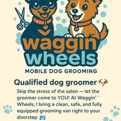 Mobile dog grooming
