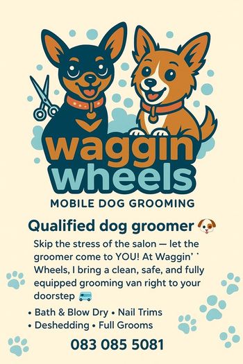 Mobile dog grooming