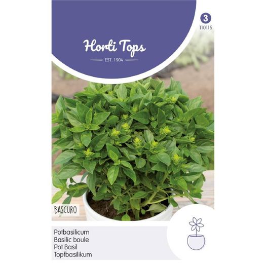 Pot Basil Bascuro Greek Dark Green Seeds 1.5g | Sow March - July