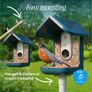 Bird Buddy Pro Smart Camera Bird Feeder with Solar Roof Image 5