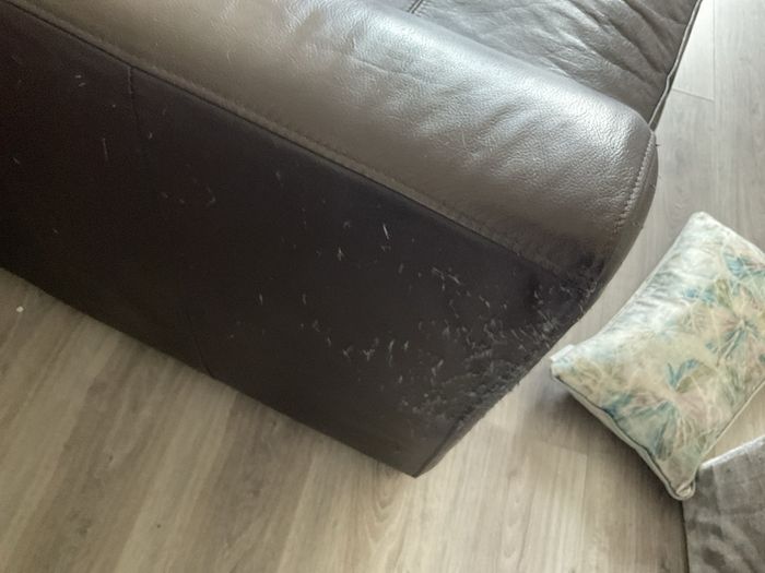 sofa