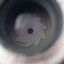 Carl Zeiss Apo Sonnar T 135mm f2 ZF.2 for Nikon F Image 8