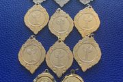 Silver Medal