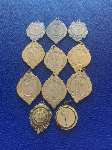 Silver Medal