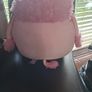 Coco squishies mishmosh Image 3