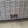 Rattan cube Image 3