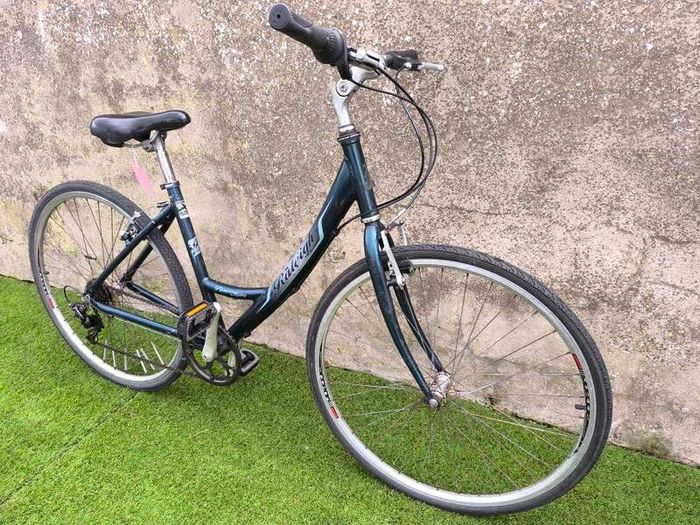 Raleigh Pioneer Metro Ladies Bike
