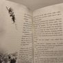 Scream Street Story Books By Tommy Donbavand Image 7