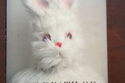 Nick Cave - The Death of Bunny Monroe (Hardback / First Press)