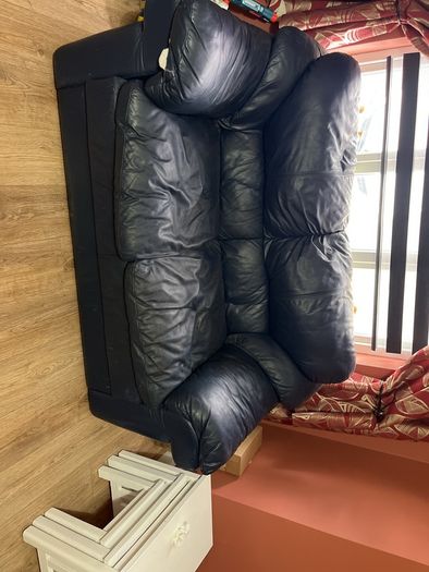 free to take genuine leather couch