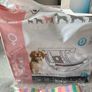 Female Diaper for Dog in Heat Image 4