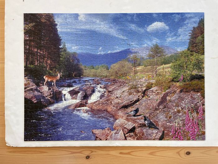 Jigsaw puzzle 1000 pieces