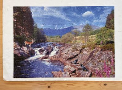 Jigsaw puzzle 1000 pieces