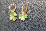 Earrings New