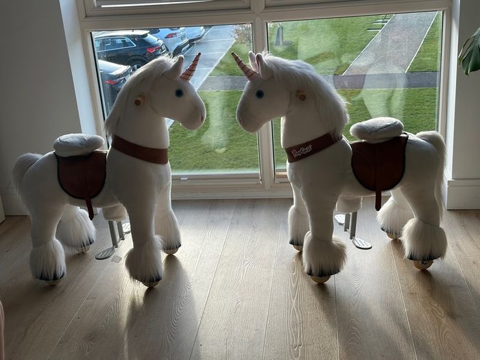 2 Unicorn riding ponies