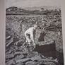 An Irish Century / 1845-1945/ From the Famine to World War 2/ Stephen Small / 1998 Image 8