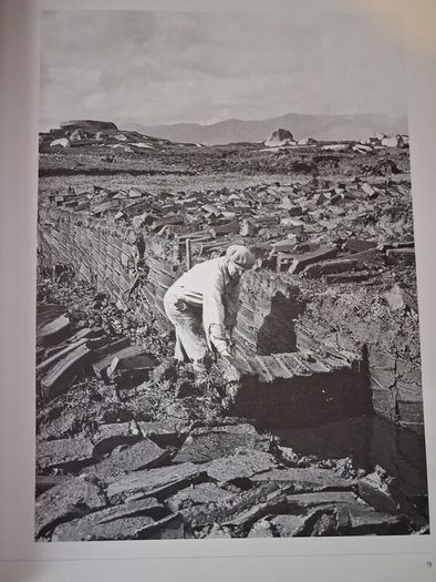 An Irish Century / 1845-1945/ From the Famine to World War 2/ Stephen Small / 1998