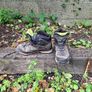 Meindl Terlan GTX Hiking Boots Image 2