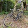 Vintage Rudge Bicycle. Image 7