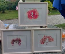 3 seaweed paintings, real seaweed, no post, D18