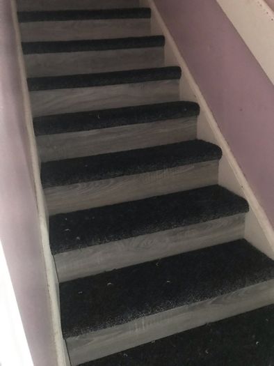 Carpet