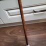 Walking stick Image 4
