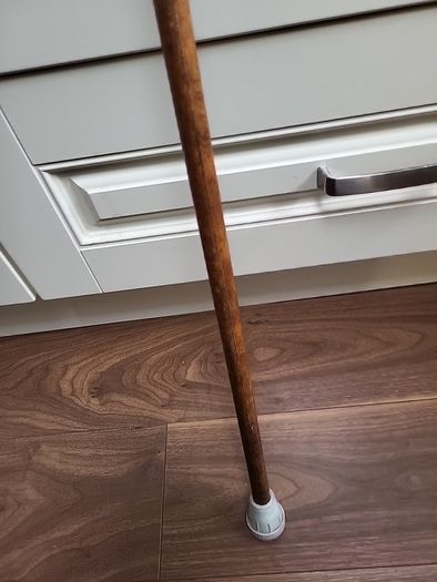 Walking stick