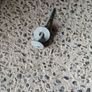 Galvanised nails and washers Image 2