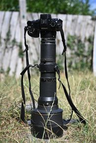 nikon 600mm f5.6 ED