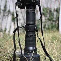nikon 600mm f5.6 ED