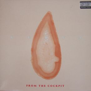 Vulva - From The Cockpit 2xLP