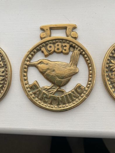 Brass . Solid Brass Horse Brasses