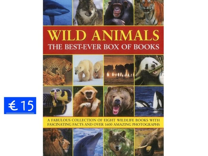 New Wild Animals Box of 8 Books