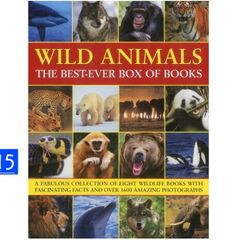New Wild Animals Box of 8 Books