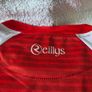 IT Sligo Gaelic Football Home Jersey Small Adult Image 9