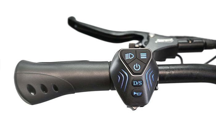 OOTD D88 Electric Scooter