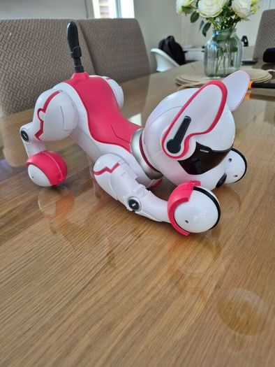 Robot Dog
