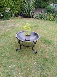 Planter / display.