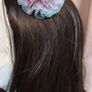Hair clips Image 2