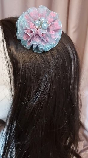 Hair clips
