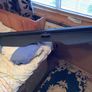 2005-2010 Ford Focus estate boot/parcel shelf extendable cover Image 6